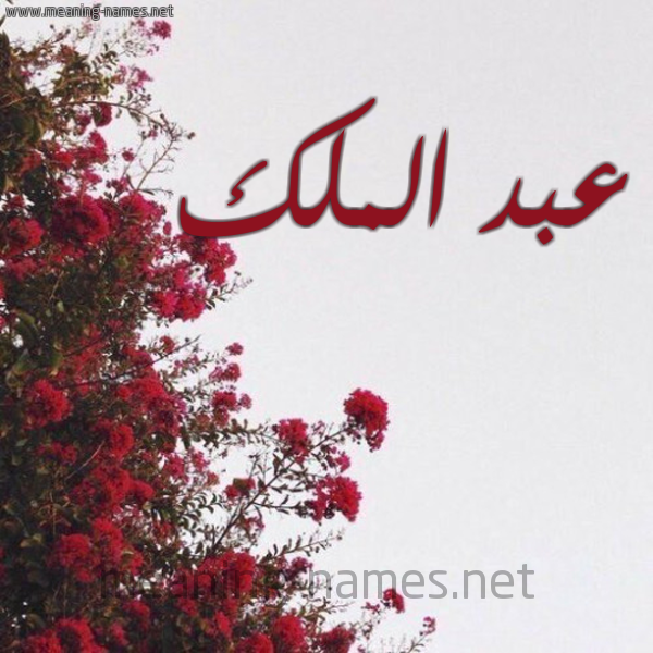 شكل 18 صوره الورد الأحمر للإسم بخط رقعة صورة اسم عبد الملك Abd-Almalk